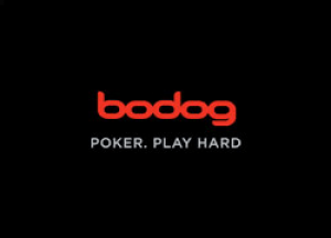 What is zone poker bodog online